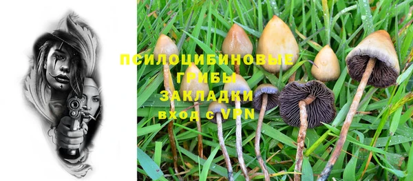 прущие крисы Абаза