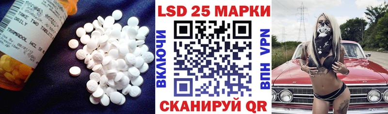 даркнет телеграм  Сергач  LSD-25 экстази кислота  дарнет шоп 