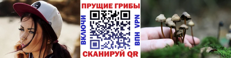 Псилоцибиновые грибы прущие грибы  Сергач 